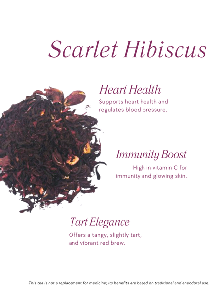 Scarlet Hibiscus