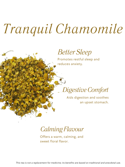 Tranquil Chamomile